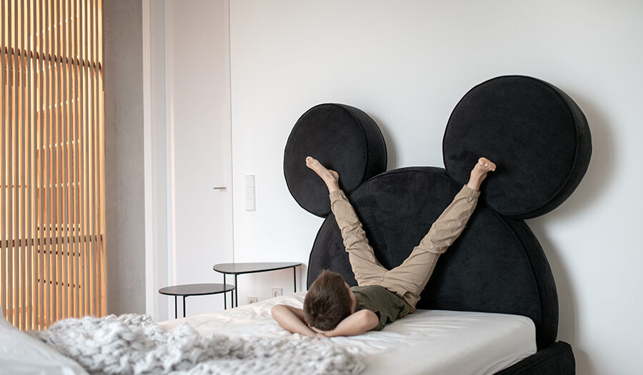 Що таке ламелі і чому вони такі популярні